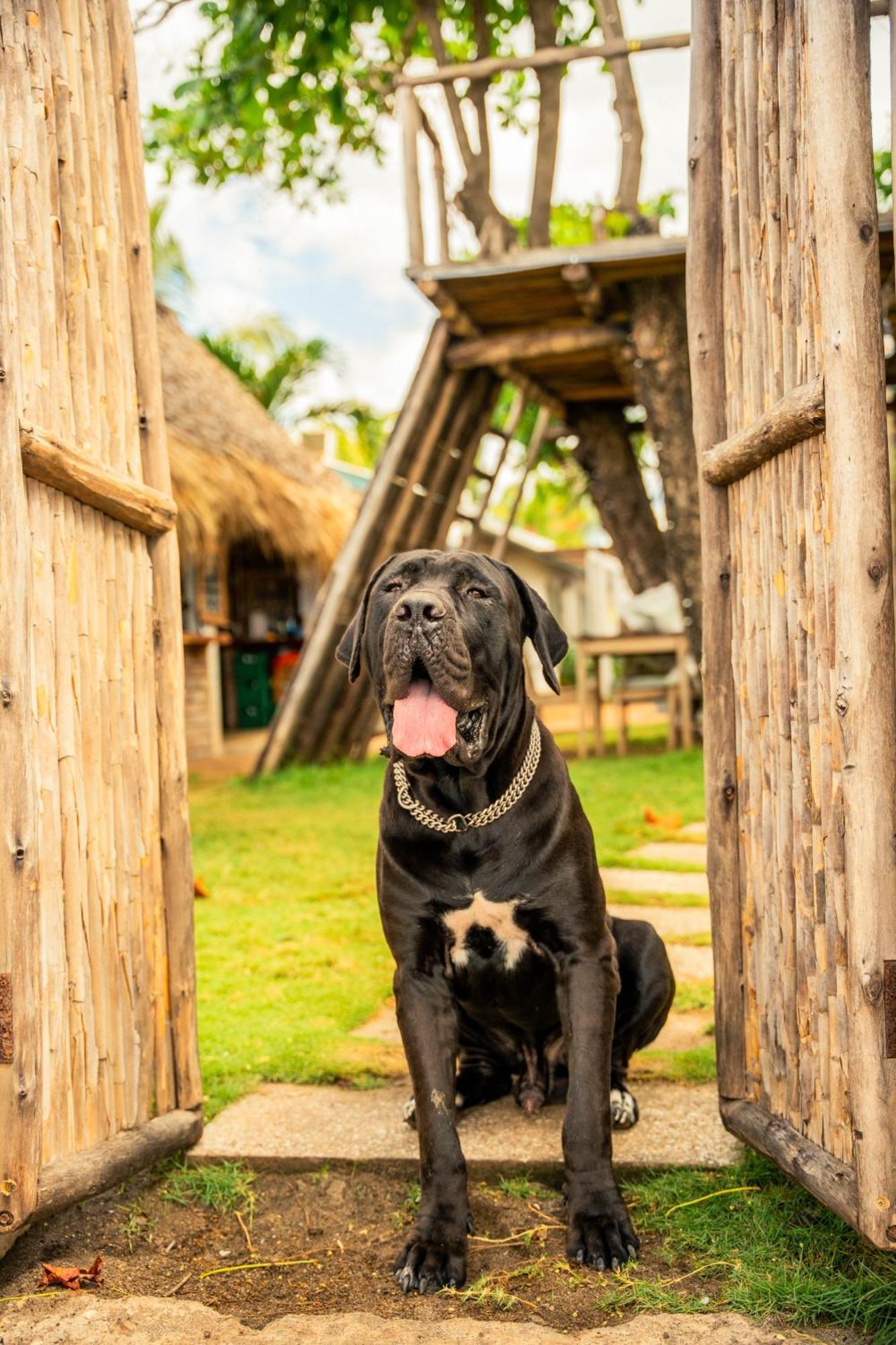 Jakes On The Beach Las Penitas Exterior photo